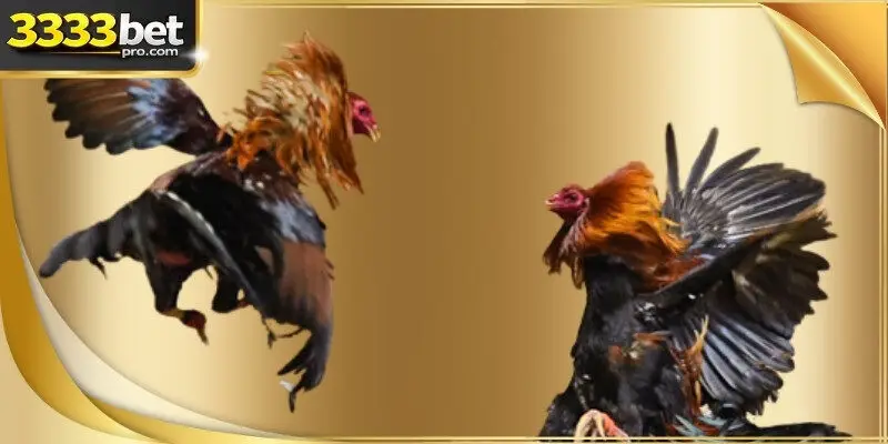 A technical chart illustrating the win-loss ratios of elite roosters